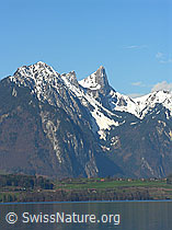 F034049: Stockhorn