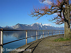 F034054: Uferweg mit Geländer am Thunersee und Stockhornkette