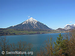 F034066: Niesen, Thunersee
