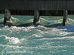 F034076: Stauwehr in Thun