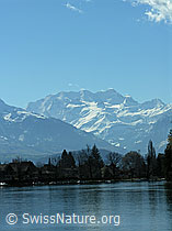 F034095: Thunersee und Blüemlisalp, Berner Oberland