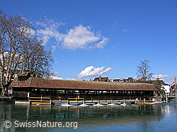 F034096: Wasserwehr an der Aare in Thun mit Spiegelung