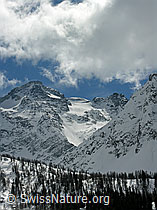 F034353: Schwarzhorn, Binntal