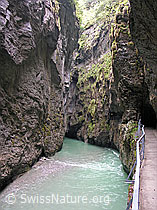 F035120: Aareschlucht