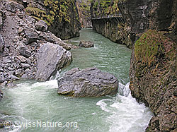 F035133: Aareschlucht: Felsblock in Aare
