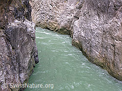 F035143: Aareschlucht: Fluss zwischen Felsen