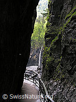 F035145: Aareschlucht: Enge Stelle der Schlucht mit Wasserfall
