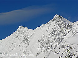 F035715: Täschhorn und Dom