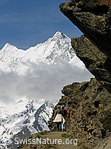 F035766: Wandern auf Wanderweg mit Blick auf Täschhorn und Dom