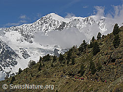 F035778: Wandergruppe unterwegs