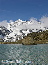 F035801: Balfrin mit Bergsee