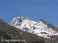 F035833: Spechhorn und Galmenhorn