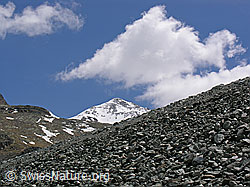 F035834: Naturdamm Mattmark und Stelli