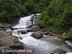 F035980: Sprudelnder Bergbach mit Wasserfall in grüner Umgebung