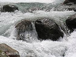 F036025: Mässerbach bei Lengenbach