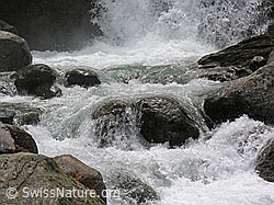 F036026: Mässerbach bei Lengenbach