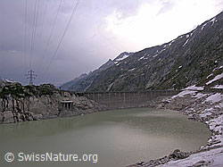F036267: Staumauer Seeuferegg (Grimselsee)