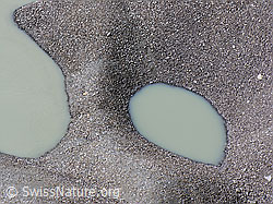 F036714: Seeufer Grimselsee (Stausee)