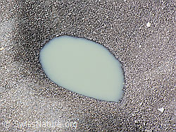 F036717: Seeufer Grimselsee (Stausee)