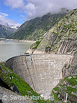 F036720: Staumauer Spittellamm (Grimselsee)