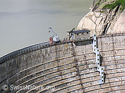 F036723: Ausschnitt Staumauer Spittellamm (Grimselsee)