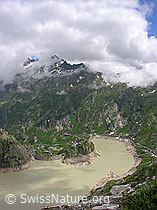 F036748: Grimselsee mit Staumauern Spittellamm und Seeuferegg