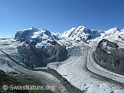 Foto: Monte Rosa, Liskamm und Castor