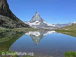 F036925: Spiegelung des Matterhorns im Riffelsee