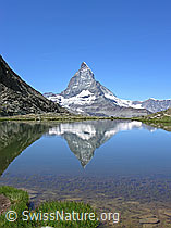 F036926: Matterhorn mit Spiegelung im Bergsee