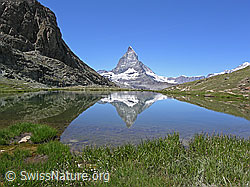 F036927: Am Ufer des Riffelsees: Matterhorn mit Spiegelung