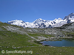 F036930: Monte Rosa, Liskamm, Castor und Pollux