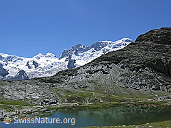 F036931: Castor und Pollux, Breithorn und Riffelhorn