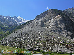 F036940: Kegel des Bergsturzes bei Randa