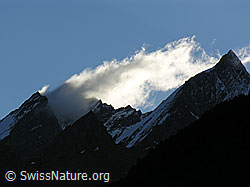 F036956: Morgenstimmung über Dom und Täschhorn