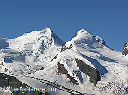 Foto: Castor und Pollux