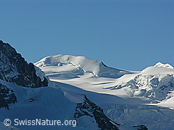 F036977: Parrotspitze und Grenzgletscher