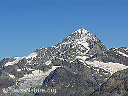 F036983: Dent Blanche