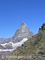 F037023: Matterhorn und Felsgrat