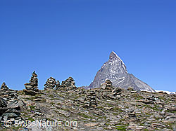 F037026: Matterhorn und Steinmänner