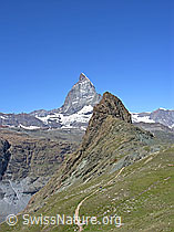 F037054: Matterhorn und Riffelhorn