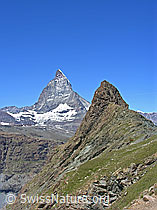 F037063: Matterhorn und Riffelhorn