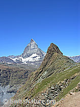 F037064: Matterhorn, Riffelhorn