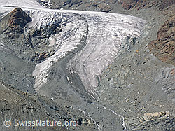 Foto: Gletscherzunge Theodulgletscher