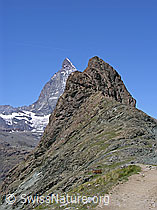 F037067: Riffelhorn und Matterhorn