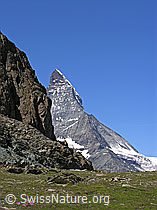F037073: Ausläufer des Riffelhorns und Matterhorn
