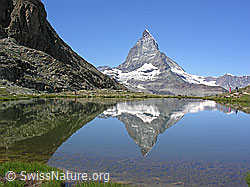 F037078: Matterhorn und Riffelsee im Sommer mit Spiegelung