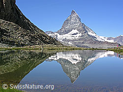 F037079: Matterhorn im Sommer mit Spiegelung im Riffelsee