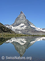 F037080: Riffelsee: Matterhorn spiegelt sich im Bergsee