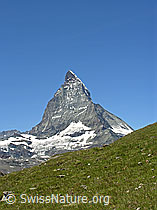 F037081: Matterhorn und grüne Alpwiese