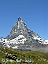 F037090: Riffelberg: Matterhorn